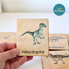 Wooden Montessori Flashcards---Learning Dinosaurs Flashcards